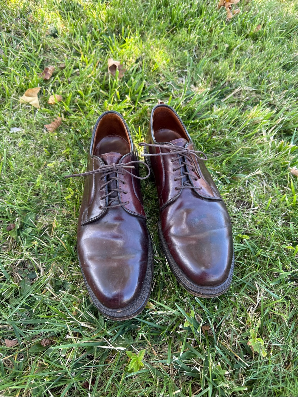 Alden Men's 9 C Plain Toe Bluchar Derby Shell Cordovan